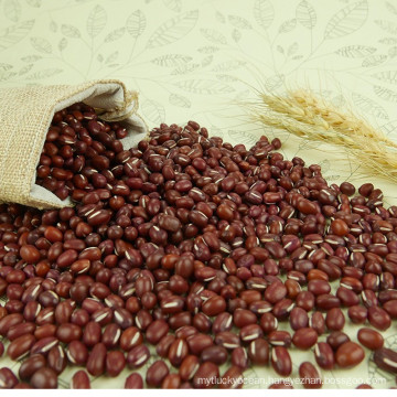 Adzuki Bean, small red bean, red adzuki bean pulses